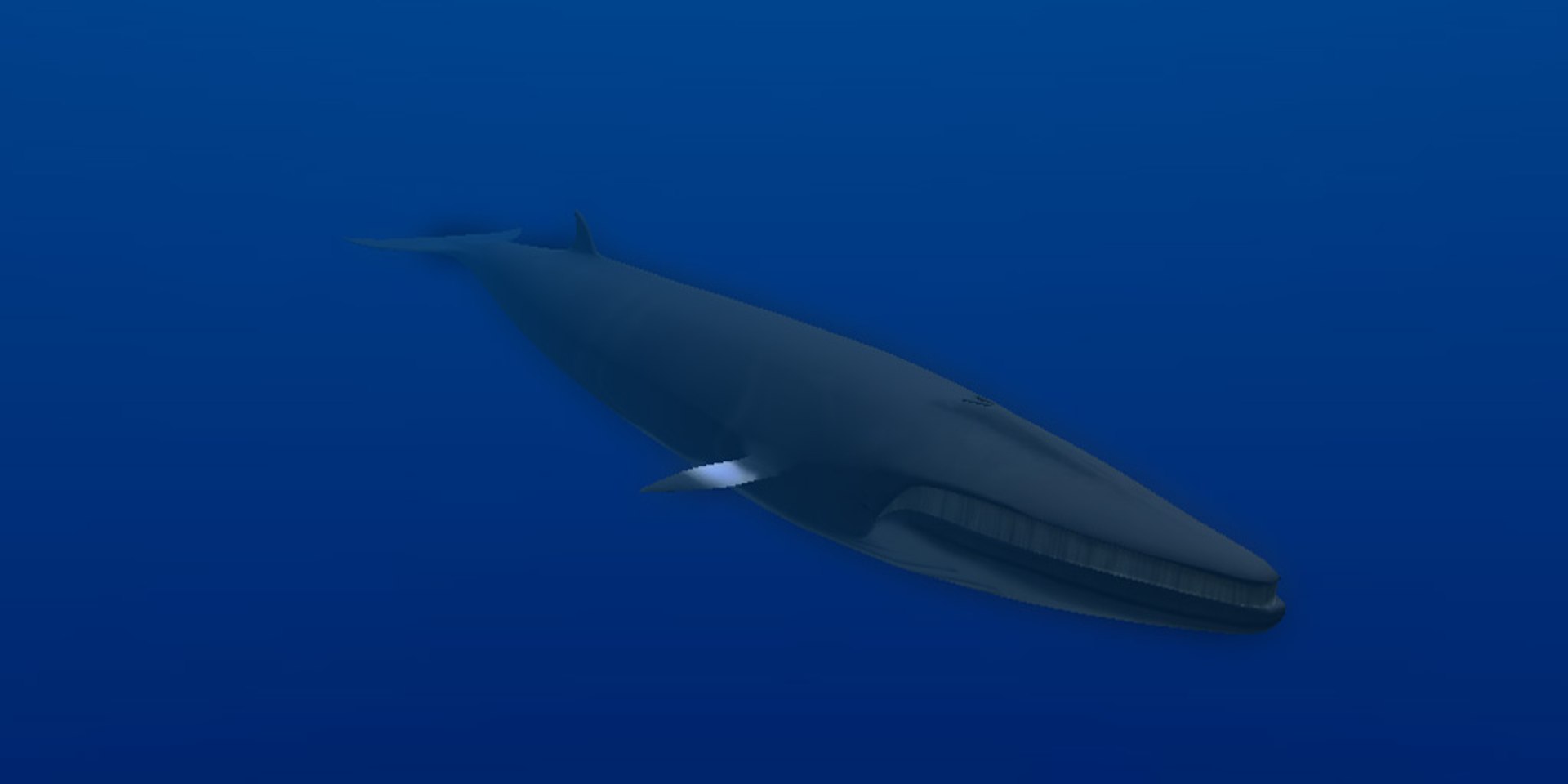 animal sea 3ds https://p.turbosquid.com/ts-thumb/5K/lSkx67/bJCexGkR/09/jpg/1403782407/1920x1080/fit_q87/a6a415b29e31860a2fe59e19e824f1d4ebab5b00/09.jpg