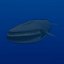 Rigged Sea Animals II