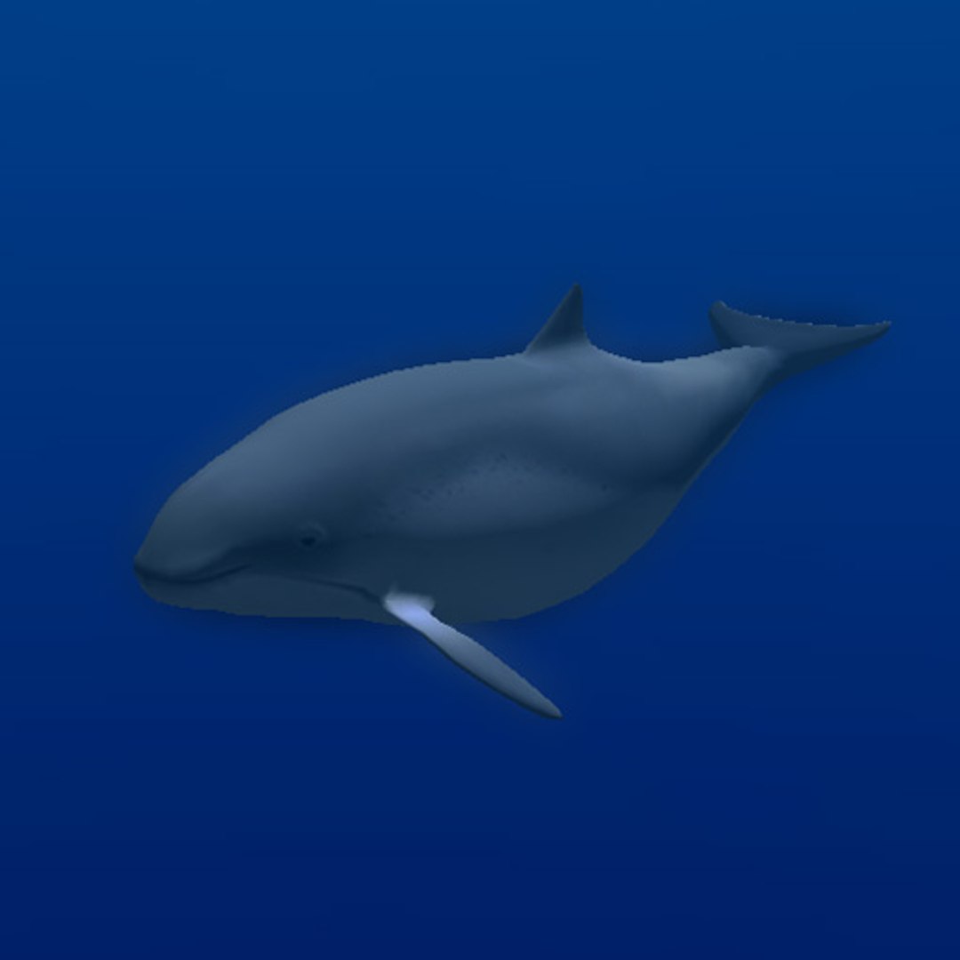 animal sea 3ds https://p.turbosquid.com/ts-thumb/5K/lSkx67/xN96xohz/12/jpg/1403782407/1920x1080/fit_q87/21f31733c91a3d2f212159c544a35910577c519a/12.jpg