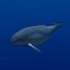 Rigged Sea Animals II