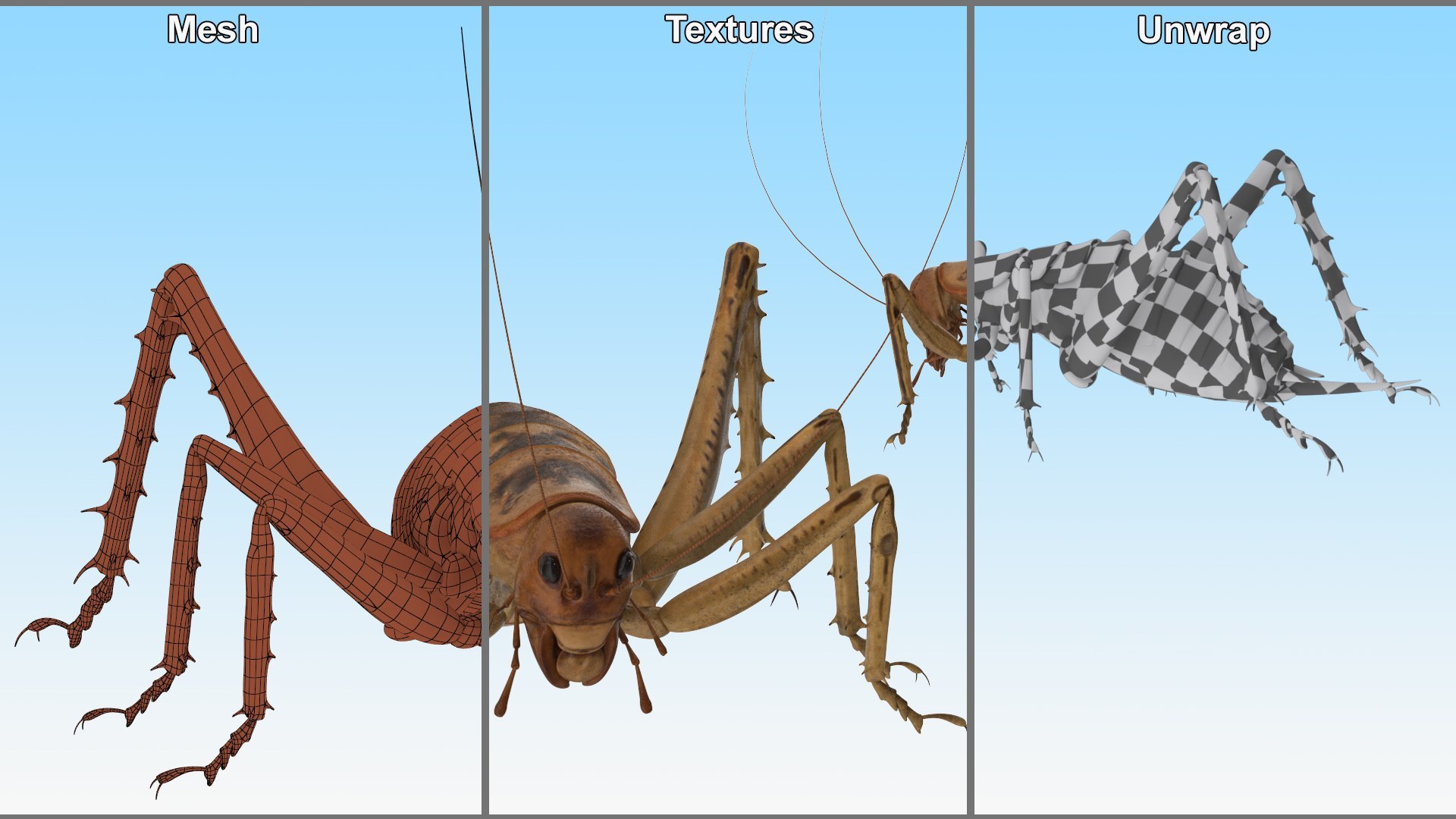 Insects Collection 2 3D model https://p.turbosquid.com/ts-thumb/5K/u9ZjJE/5g/insects_collection_2_030/jpg/1720589262/1920x1080/fit_q87/5e0e5efbef6930d5dae1de0c9c41e95c789b582c/insects_collection_2_030.jpg