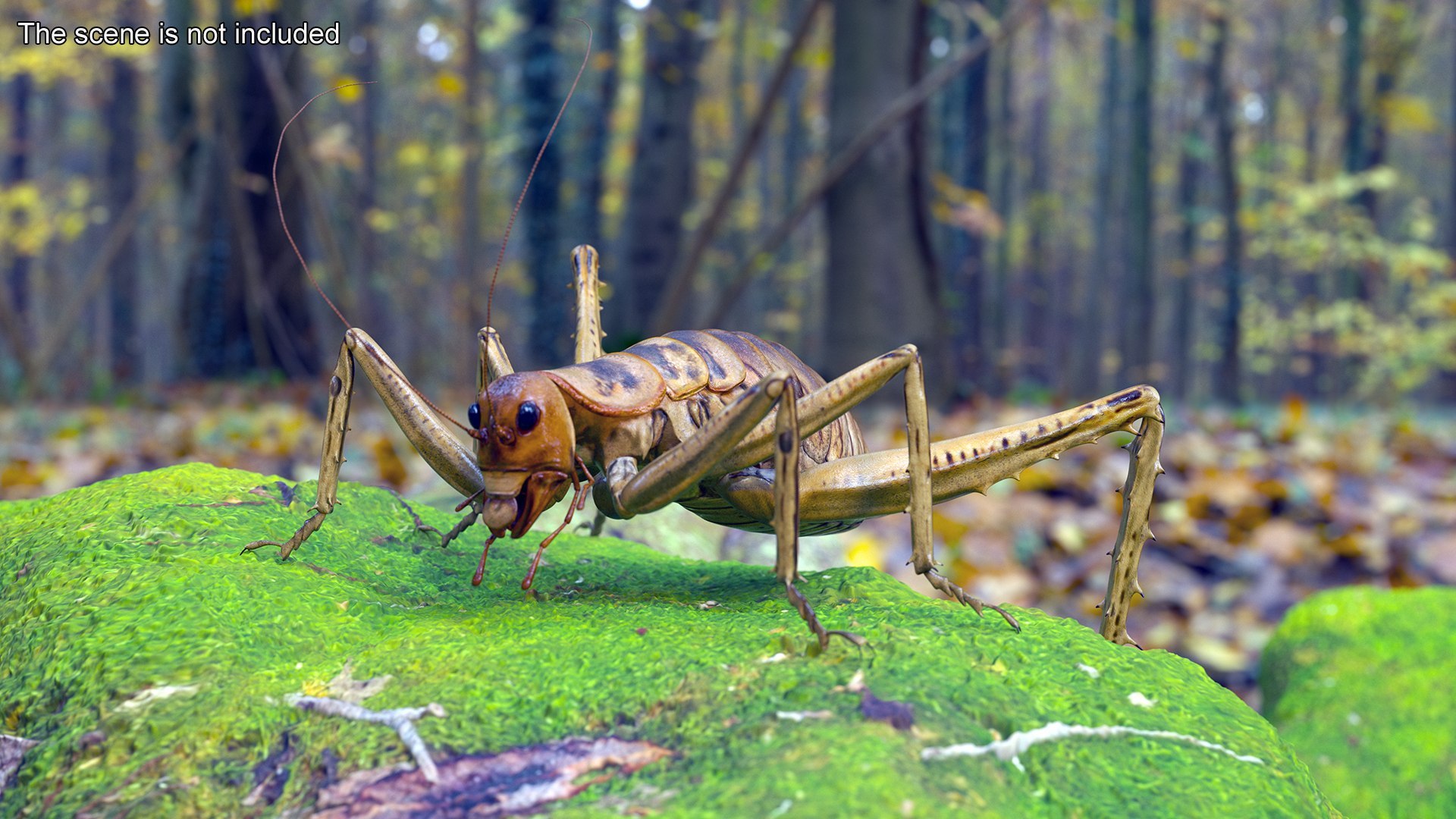 Insects Collection 2 3D model https://p.turbosquid.com/ts-thumb/5K/u9ZjJE/zc/insects_collection_2_025/jpg/1720589260/1920x1080/fit_q87/402720dd7a073485210a173ca118adf3dd3b7c54/insects_collection_2_025.jpg