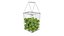 Wire Tennis Ball Hopper Basket and Racket