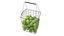 Wire Tennis Ball Hopper Basket and Racket