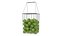 Wire Tennis Ball Hopper Basket and Racket