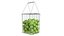 Wire Tennis Ball Hopper Basket and Racket
