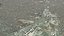 Arabic  City Large