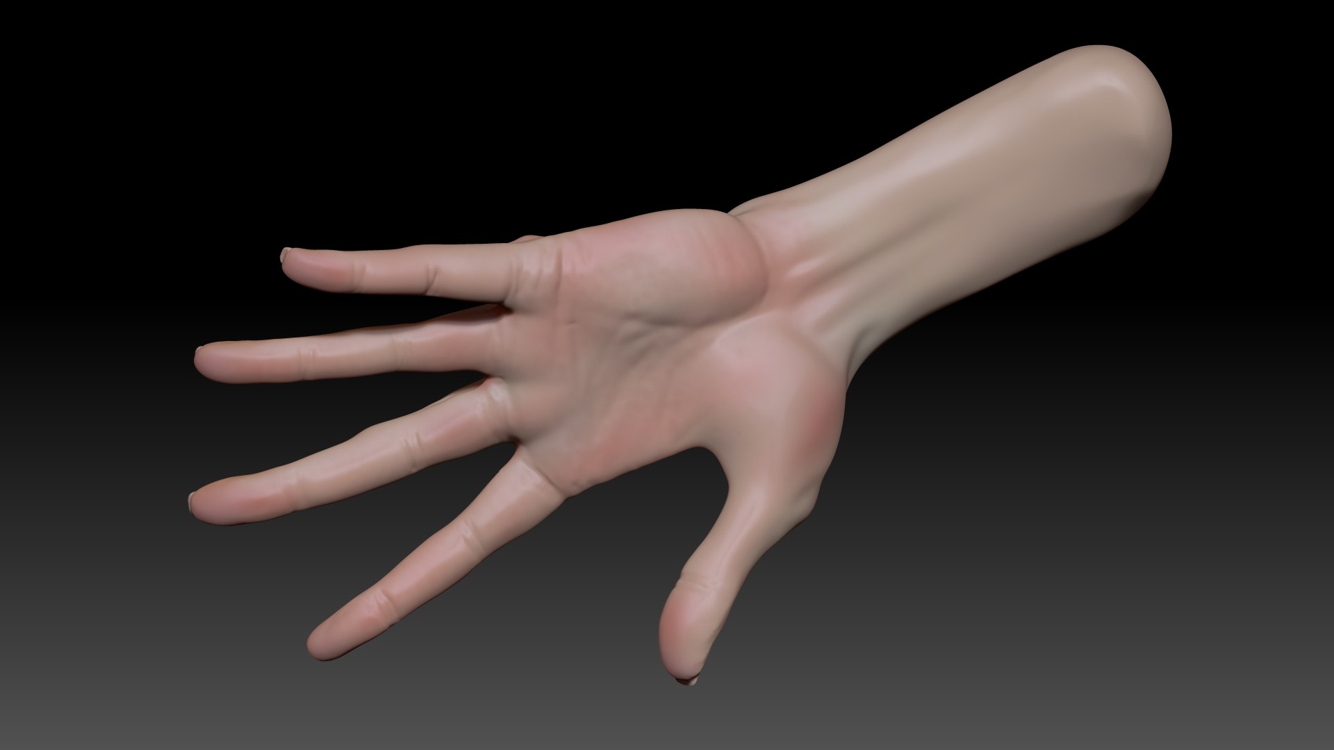 Female Pro Hand Sculpt Project Model - TurboSquid 2052463