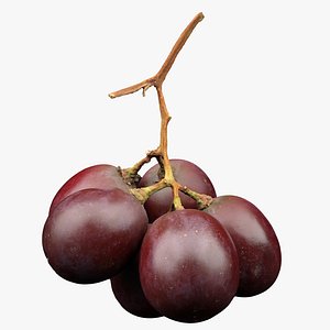 Red Grapes Fruit 3D model