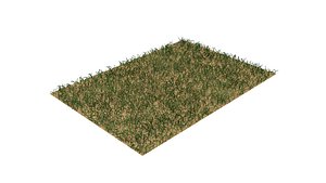 Grass 3D model