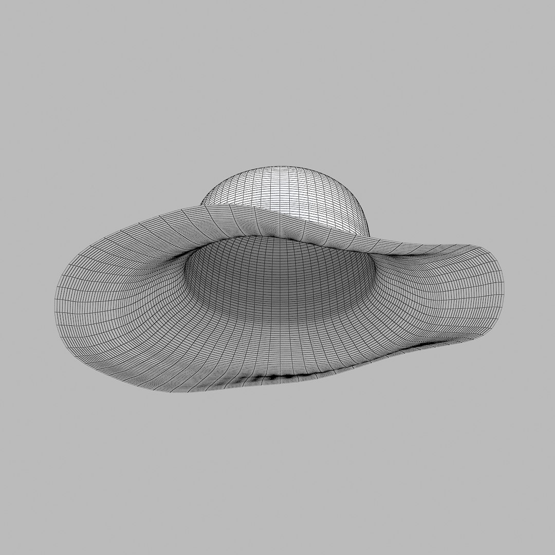 3d lady s hat model