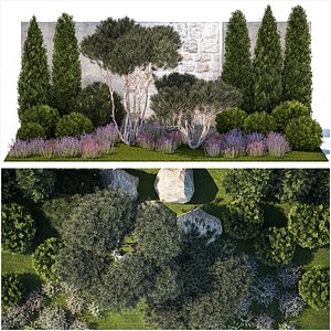 Garden with thuja trees and pine topiary lavender bushes 3D