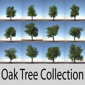 oak trees 3d obj