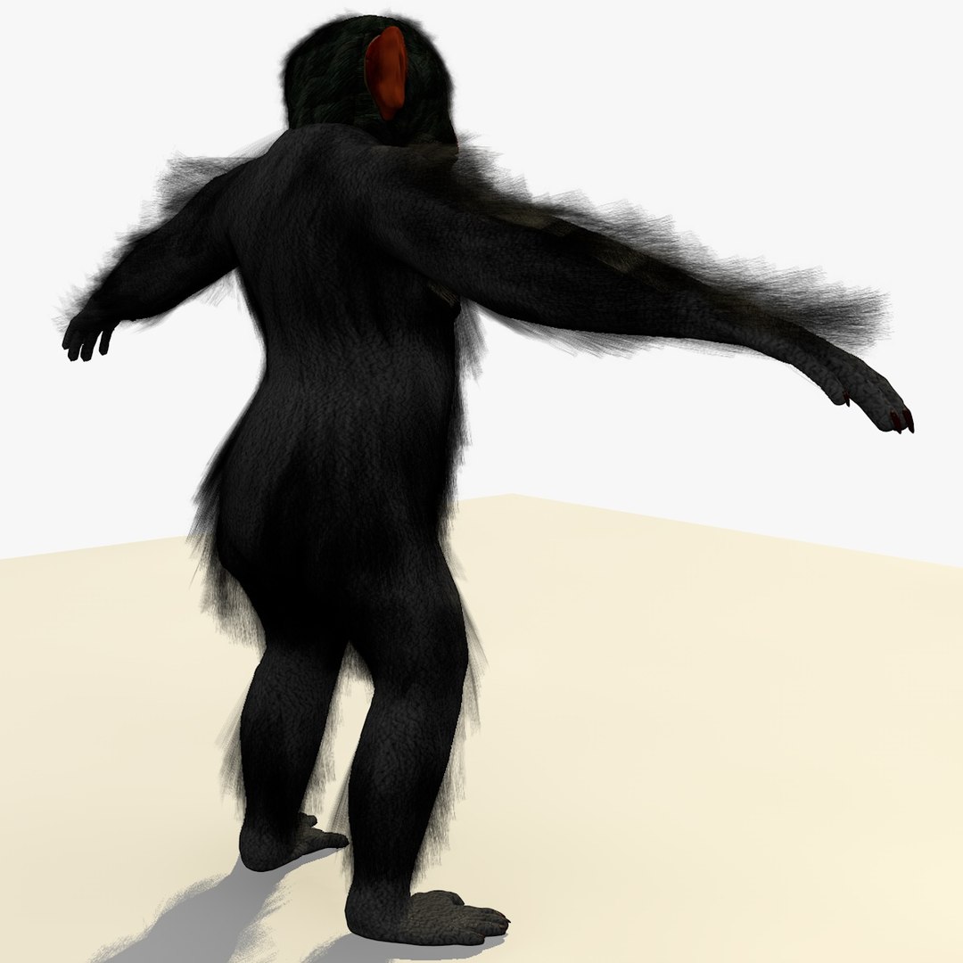 Rigged Chimpanzee Chimp 3d Model