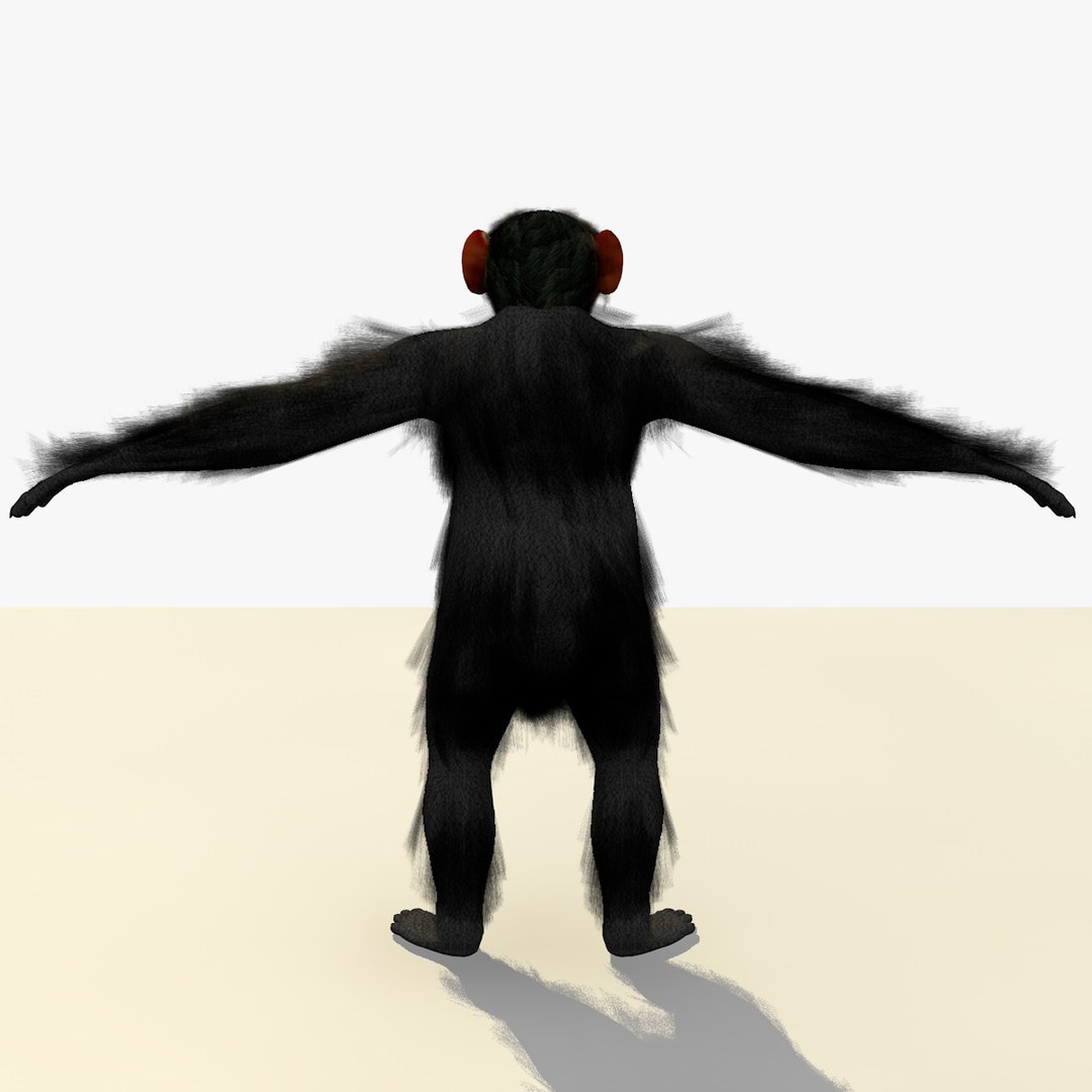 Rigged Chimpanzee Chimp 3d Model