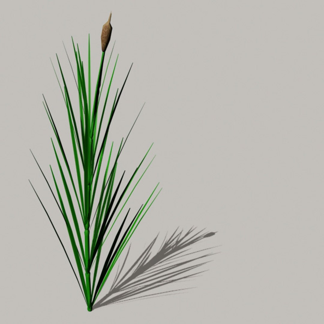 3ds max common reed