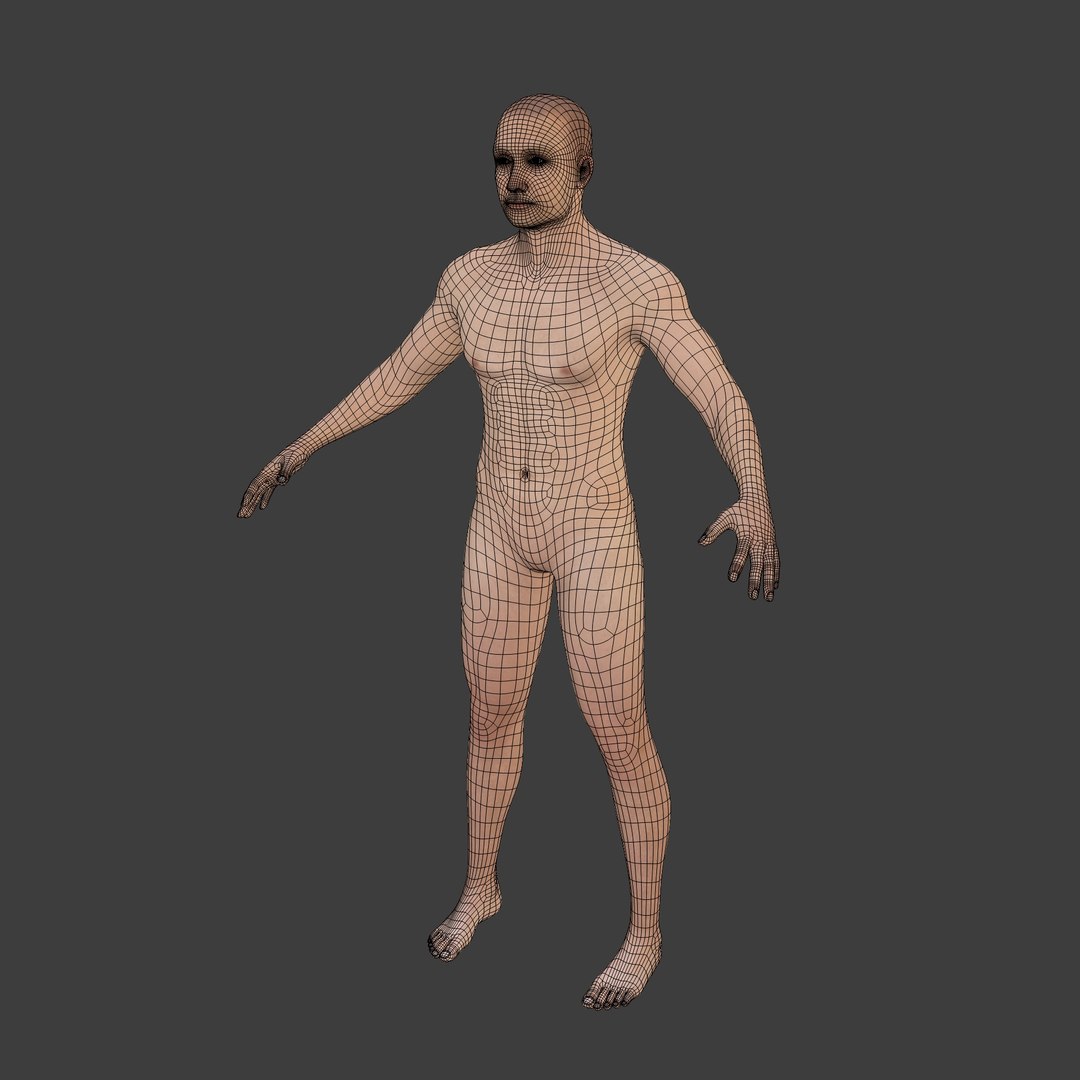 High Quality Rigged Model 3D Model - TurboSquid 2240925