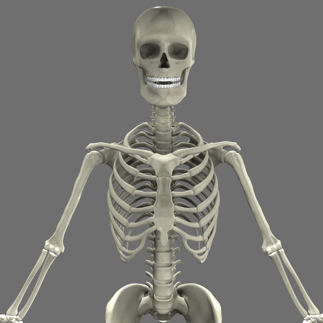 Max Human Skeleton