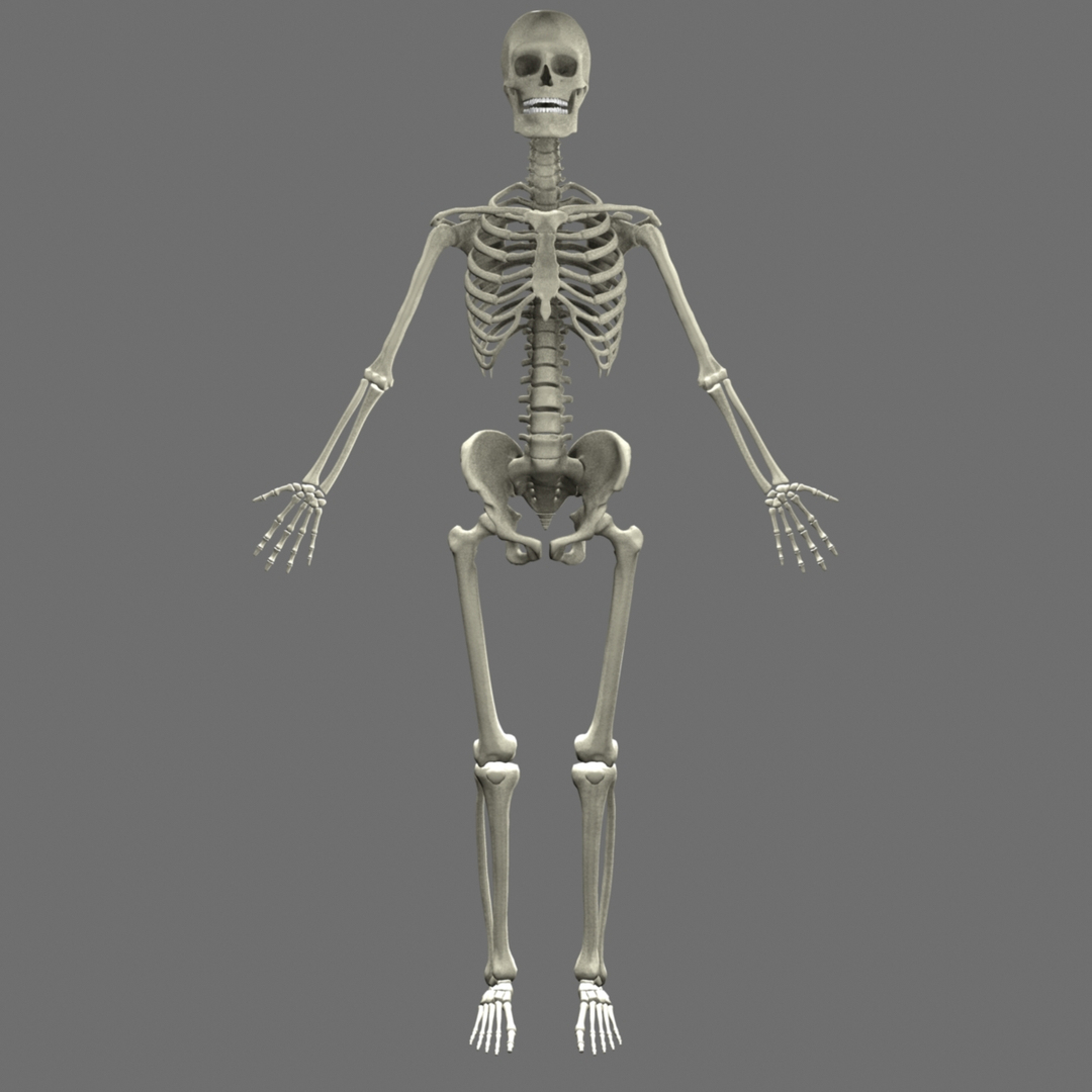 Max Human Skeleton