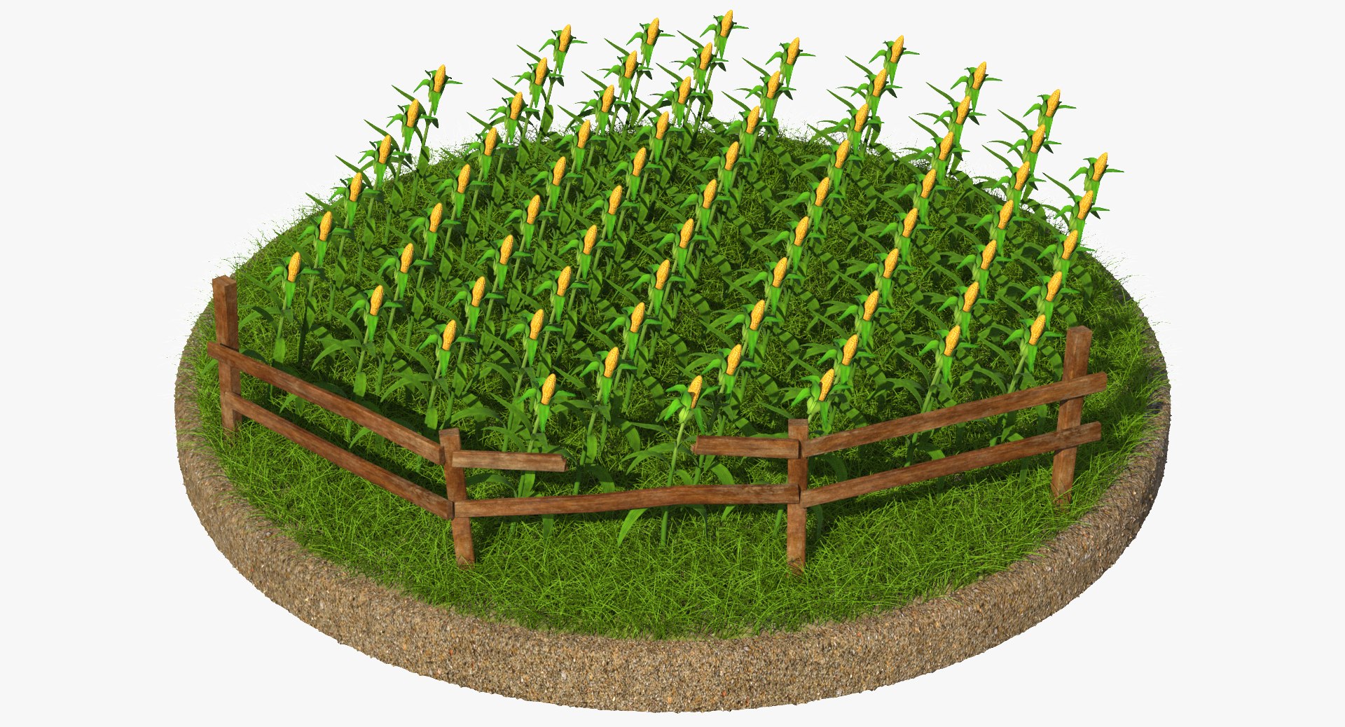 3d obj grass corn https://p.turbosquid.com/ts-thumb/5L/cJv3ym/7ovAOp3h/4/jpg/1470830405/1920x1080/fit_q87/53d4b9217bef40f11f8d1efdf4368e95956e8346/4.jpg