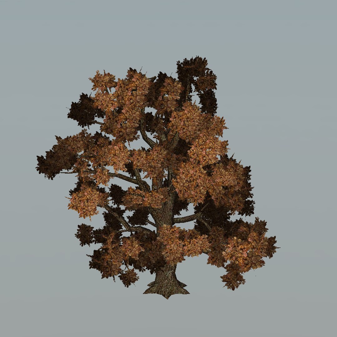 Oak-tree Lod Level 3d Model