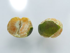 orange open model
