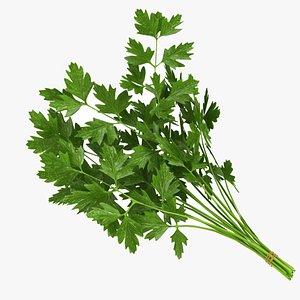 parsley Bunch 3D