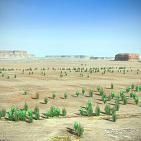Desert Landscape Terrain Arizona