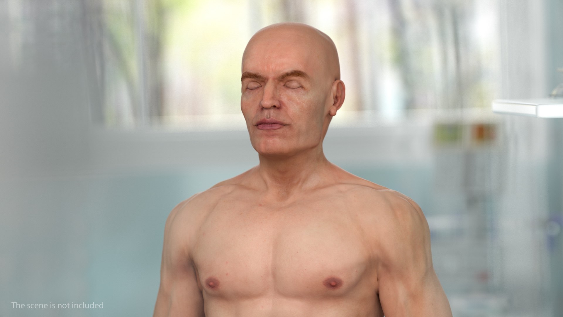 male body nude anatomy 3D model https://p.turbosquid.com/ts-thumb/5M/7J3ZQp/2d5T54Wn/malefullbodynudevray3dmodel002/jpg/1572266861/1920x1080/fit_q87/4272c83313fcab726c28ba1c43b49bf6f8093e2f/malefullbodynudevray3dmodel002.jpg