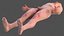 Male Full Body Nude