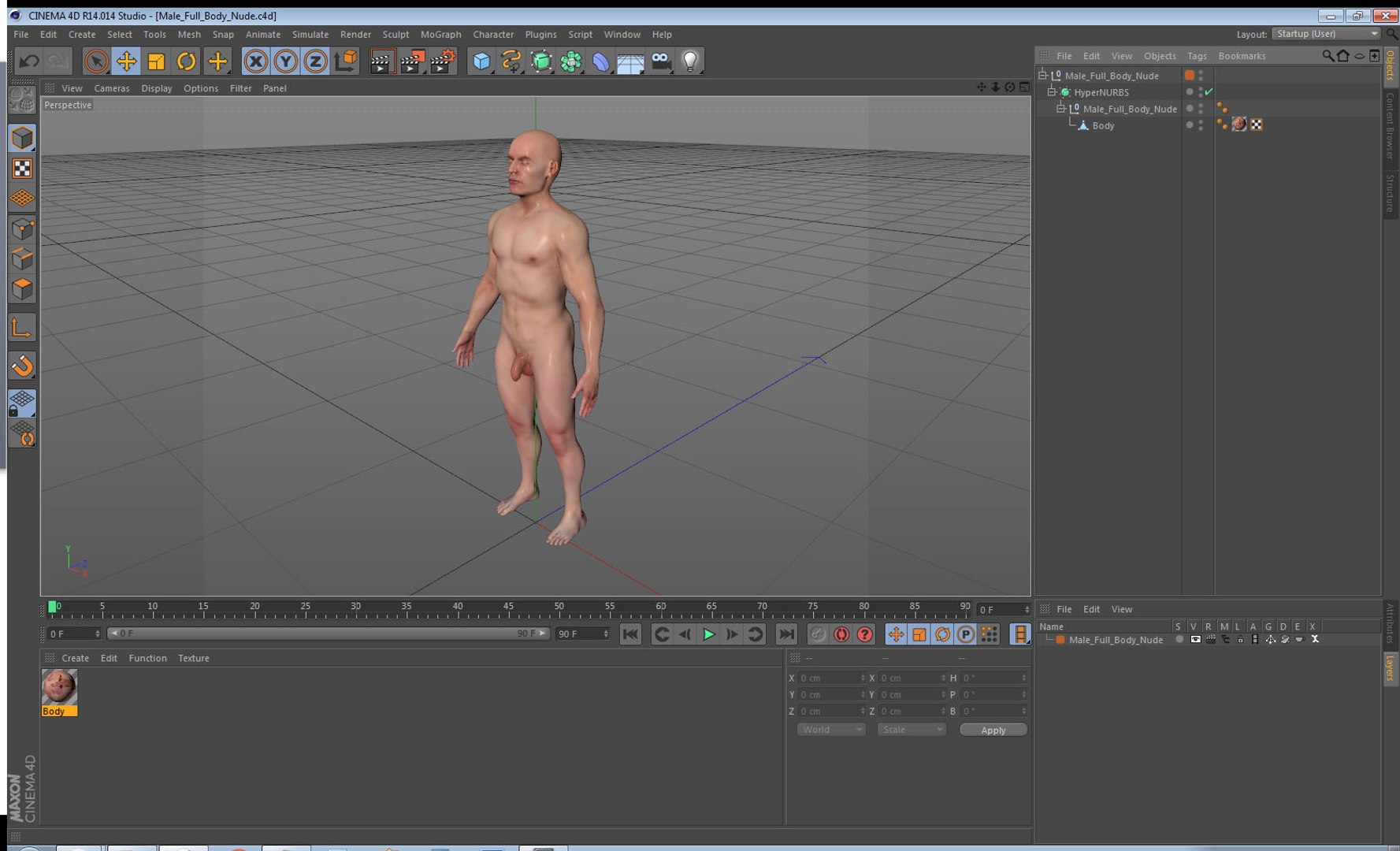 male body nude anatomy 3D model https://p.turbosquid.com/ts-thumb/5M/7J3ZQp/7bhJCVlb/malefullbodynudevray3dmodel021/jpg/1572266950/1920x1080/fit_q87/a4e6c4810fcf41129534d0c4cc11d014535860e7/malefullbodynudevray3dmodel021.jpg
