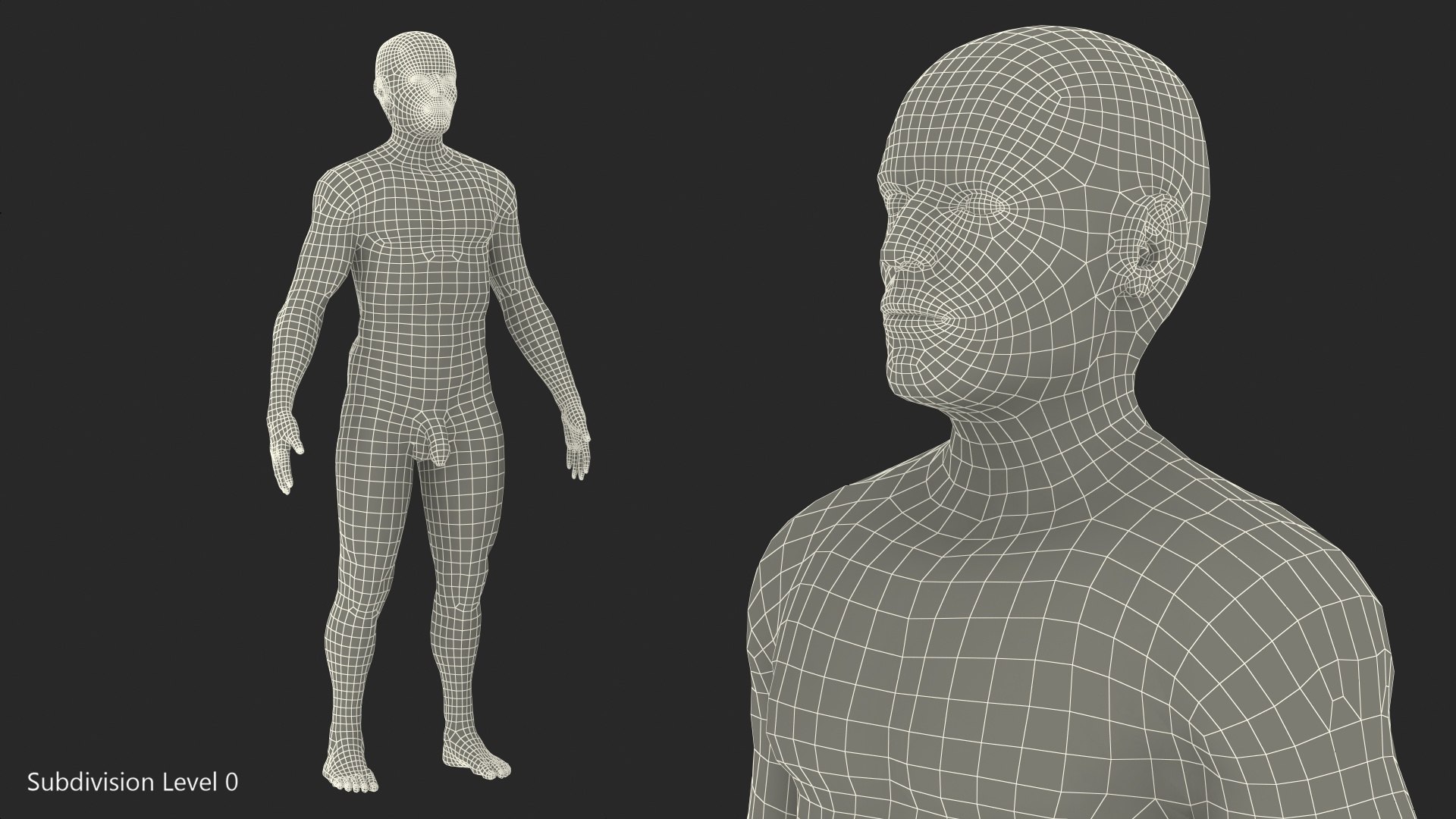 male body nude anatomy 3D model https://p.turbosquid.com/ts-thumb/5M/7J3ZQp/PPjHLPYT/malefullbodynudevray3dmodel016/jpg/1572266925/1920x1080/fit_q87/da7b7f01f4571c46652a12b1a9403ed008723d0f/malefullbodynudevray3dmodel016.jpg
