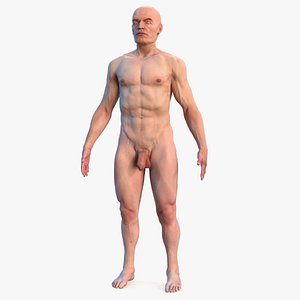 male body nude anatomy 3D model