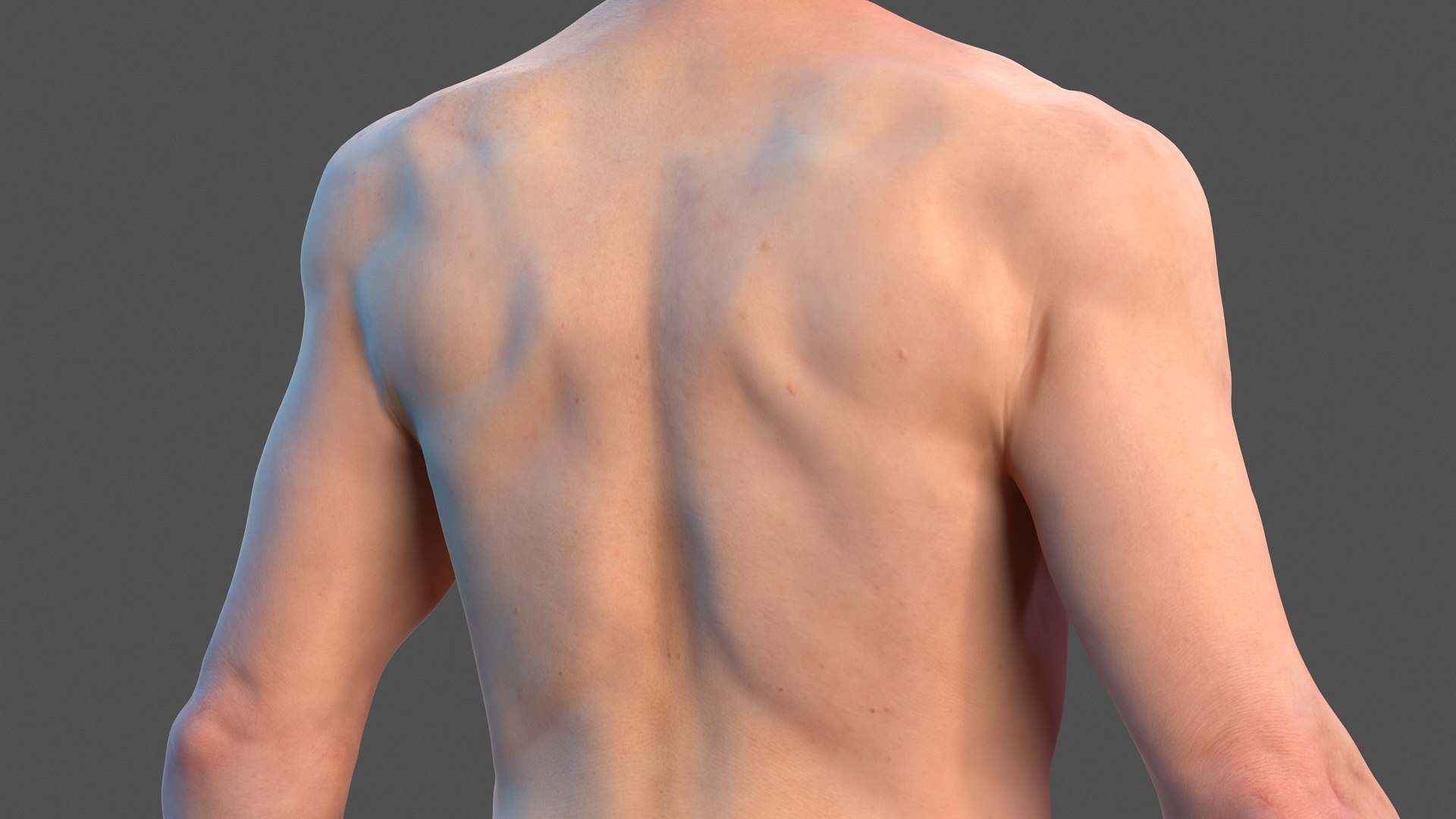 male body nude anatomy 3D model https://p.turbosquid.com/ts-thumb/5M/7J3ZQp/clCDHLRO/malefullbodynudevray3dmodel011/jpg/1572266903/1920x1080/fit_q87/9e34106d6c32f1862ae95d50bfc0bc614c694fa4/malefullbodynudevray3dmodel011.jpg
