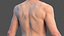 Male Full Body Nude