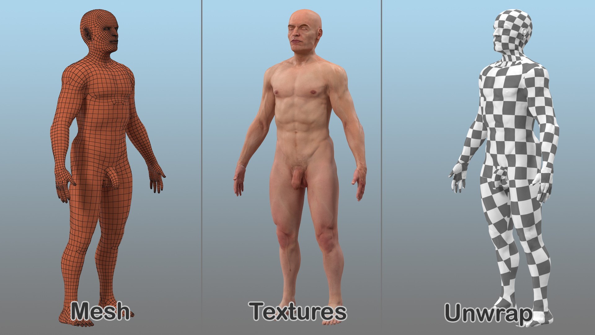 male body nude anatomy 3D model https://p.turbosquid.com/ts-thumb/5M/7J3ZQp/nIeaYyYY/malefullbodynudevray3dmodel006/jpg/1572266879/1920x1080/fit_q87/7da5d5128597fcb1736f76b705d456becebc71d3/malefullbodynudevray3dmodel006.jpg