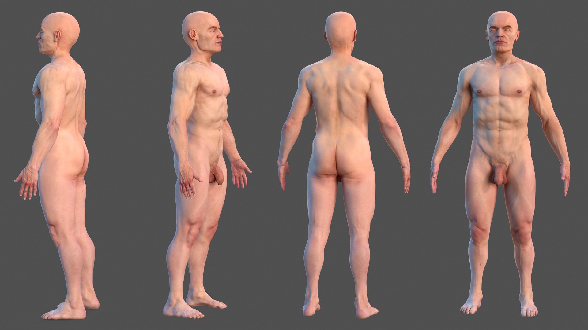Male Full Body Nude 3D model preview
