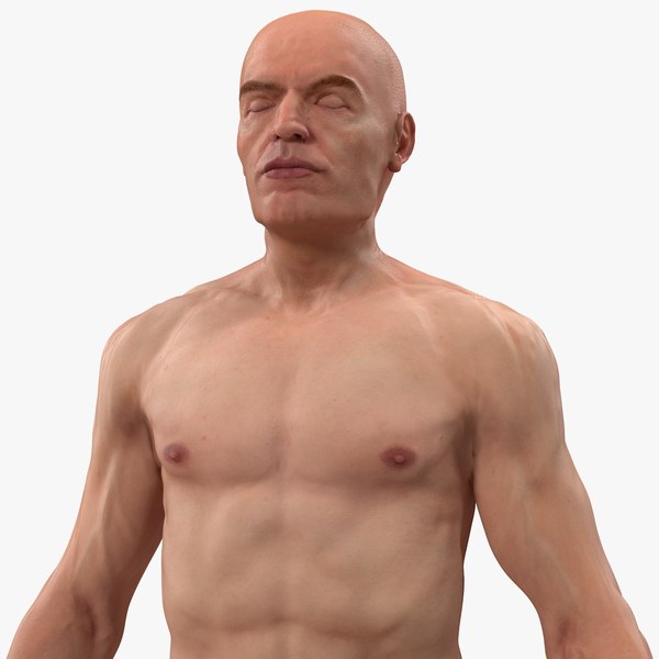 male body nude anatomy 3D model