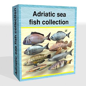 Adriatic sea fish collection