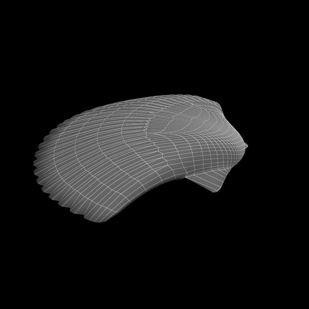 Silver Chrome Shell 3D - TurboSquid 1228470