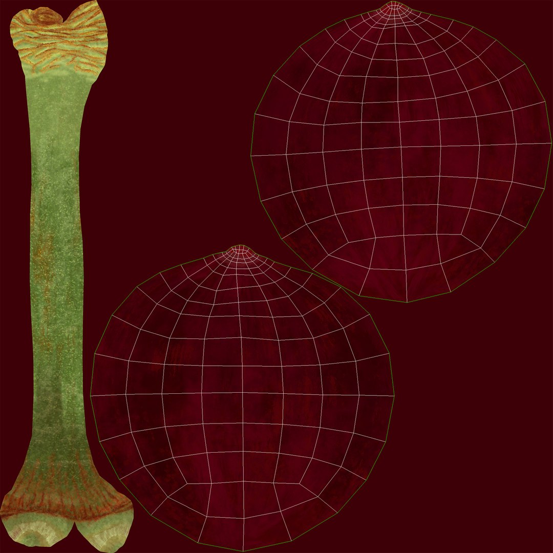 3D cherries fruit model https://p.turbosquid.com/ts-thumb/5M/HZQamR/PX4QAAbt/003_uvs/jpg/1596272274/1920x1080/fit_q87/4266f89330a13f07f23638f4c75347a0cae94222/003_uvs.jpg