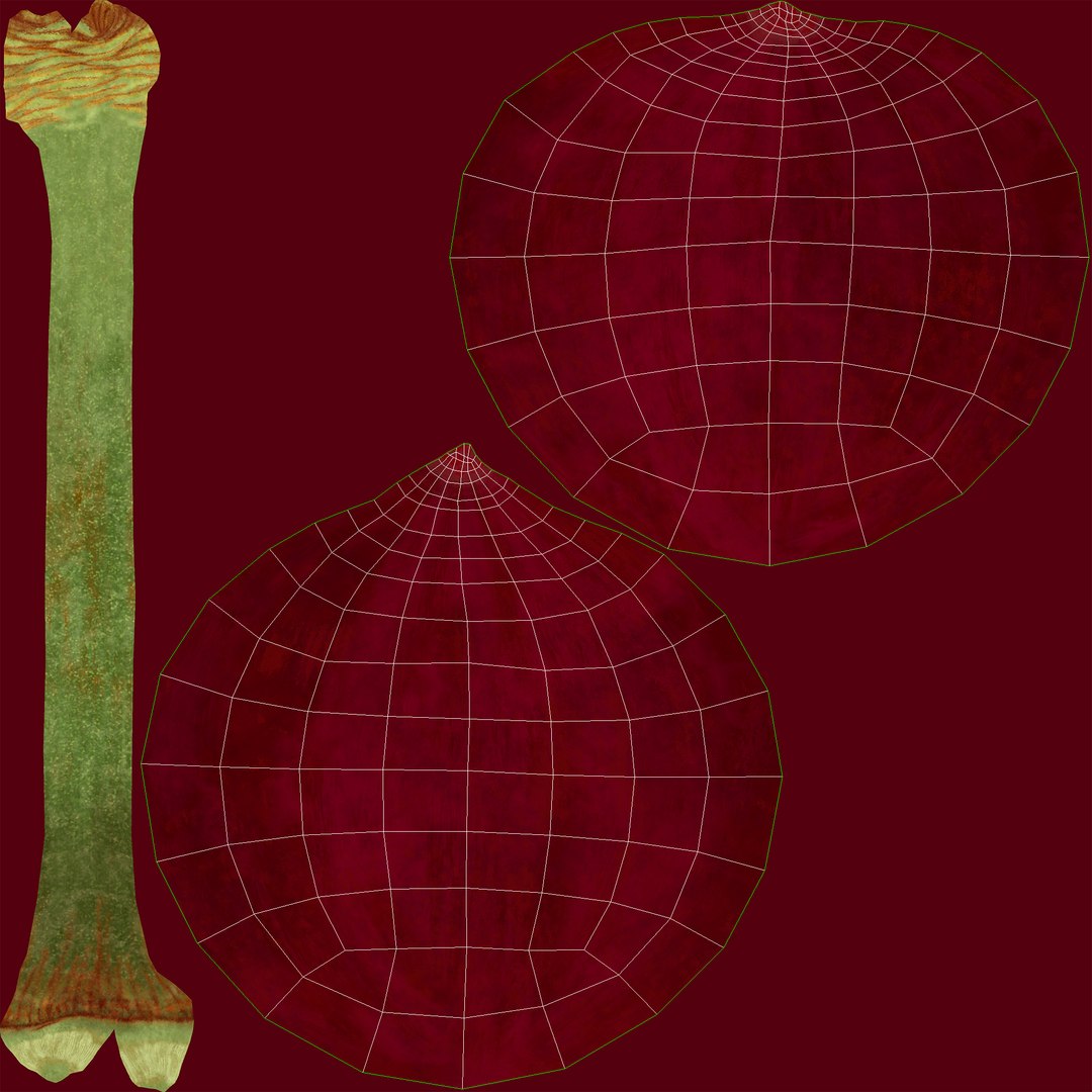 3D cherries fruit model https://p.turbosquid.com/ts-thumb/5M/HZQamR/RvuOWhnr/002_uvs/jpg/1596272273/1920x1080/fit_q87/d66f71ada528fd0a437c0473e442aa66c58318b6/002_uvs.jpg