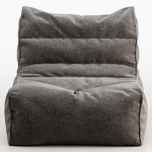Bean Bag model