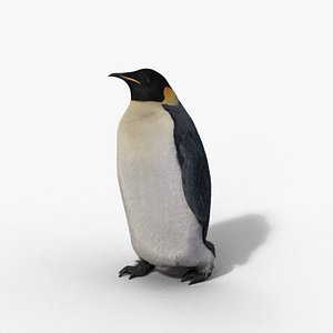 3D Emperor Penguin Animated