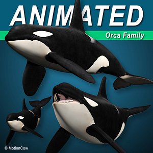 Orca Killer Whale Family