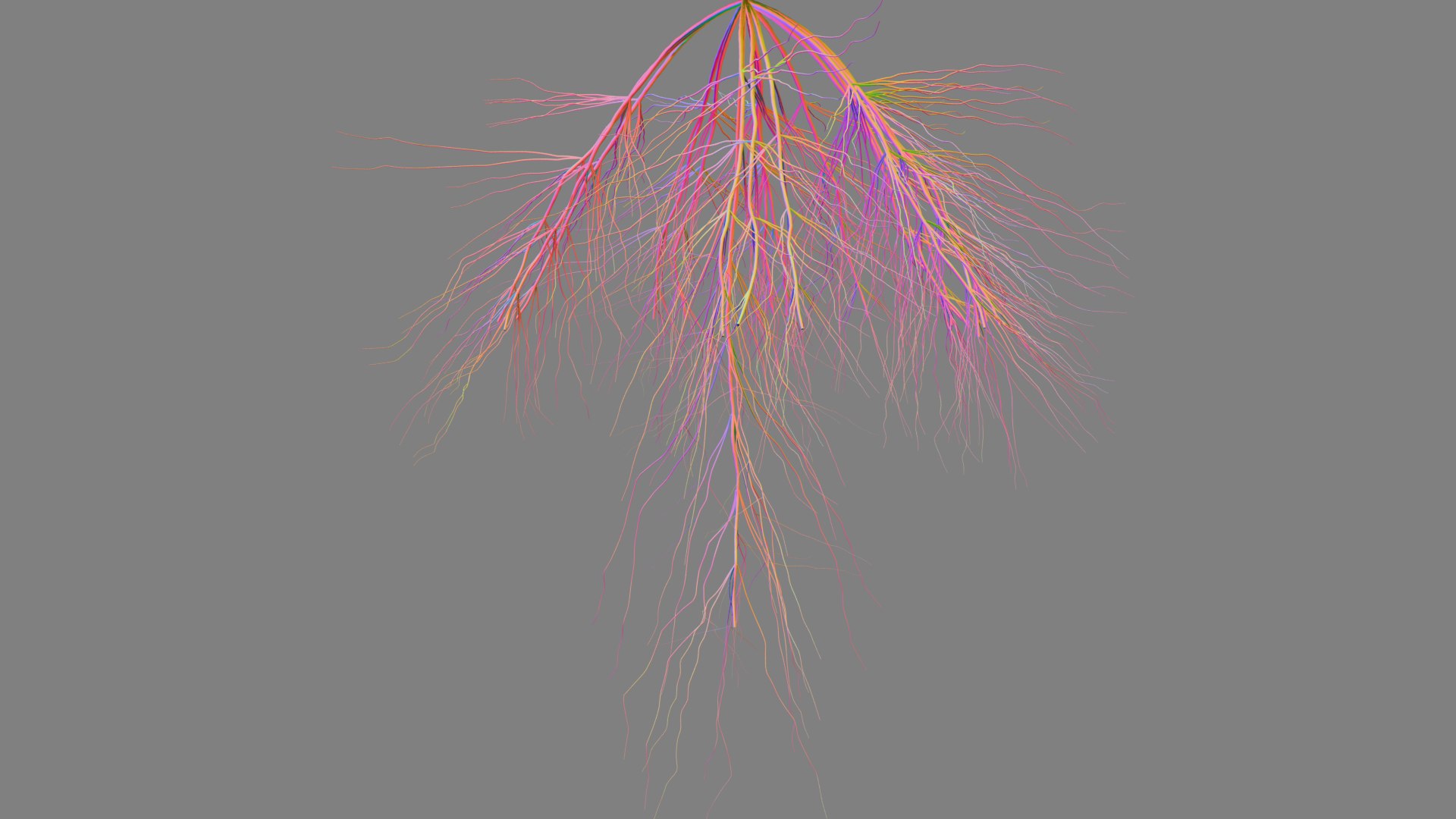 3D Wheat Root - growth animation - TurboSquid 1816552