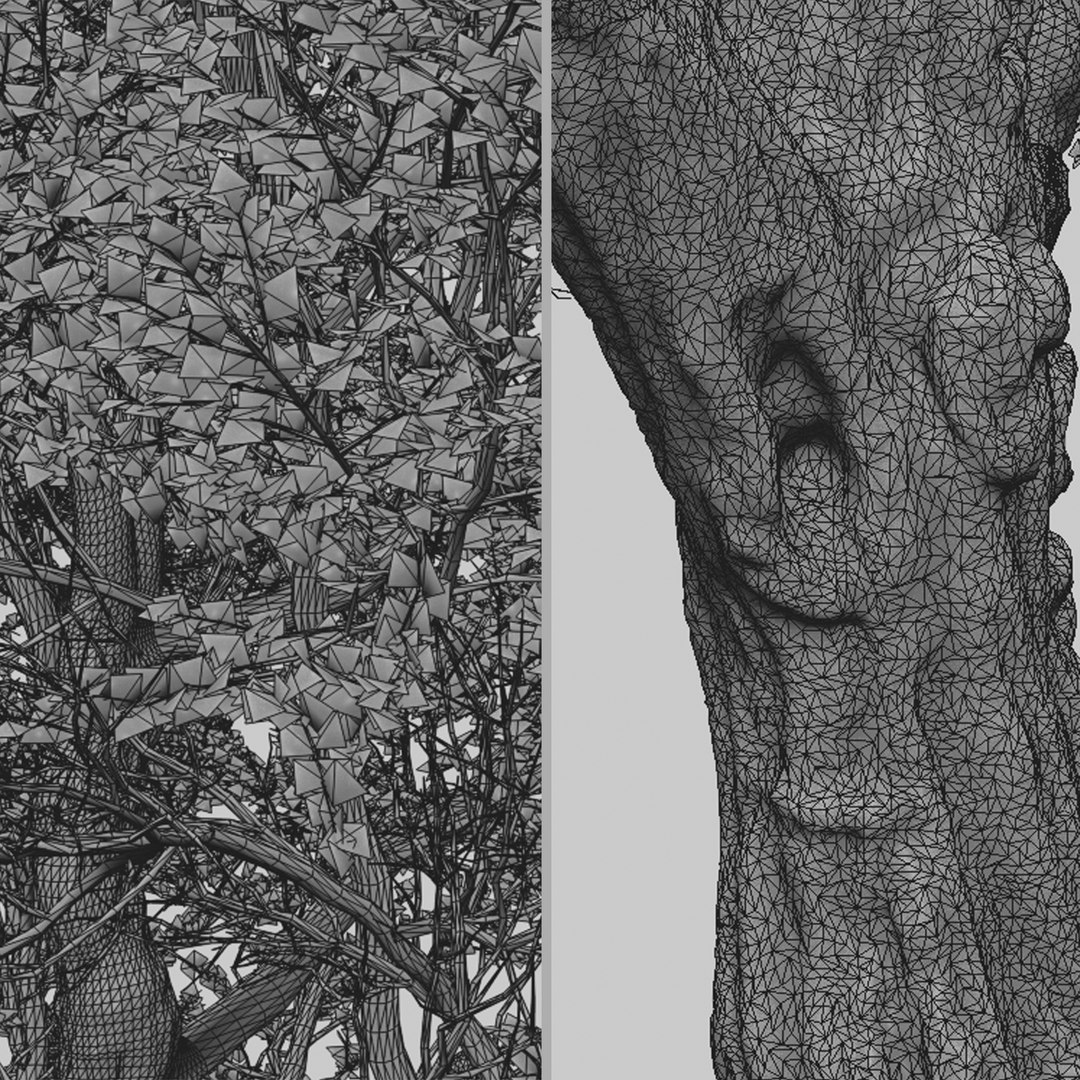 Set Of Fremont Cottonwood Or Populus Fremontii Tree 2 Trees 3D Model