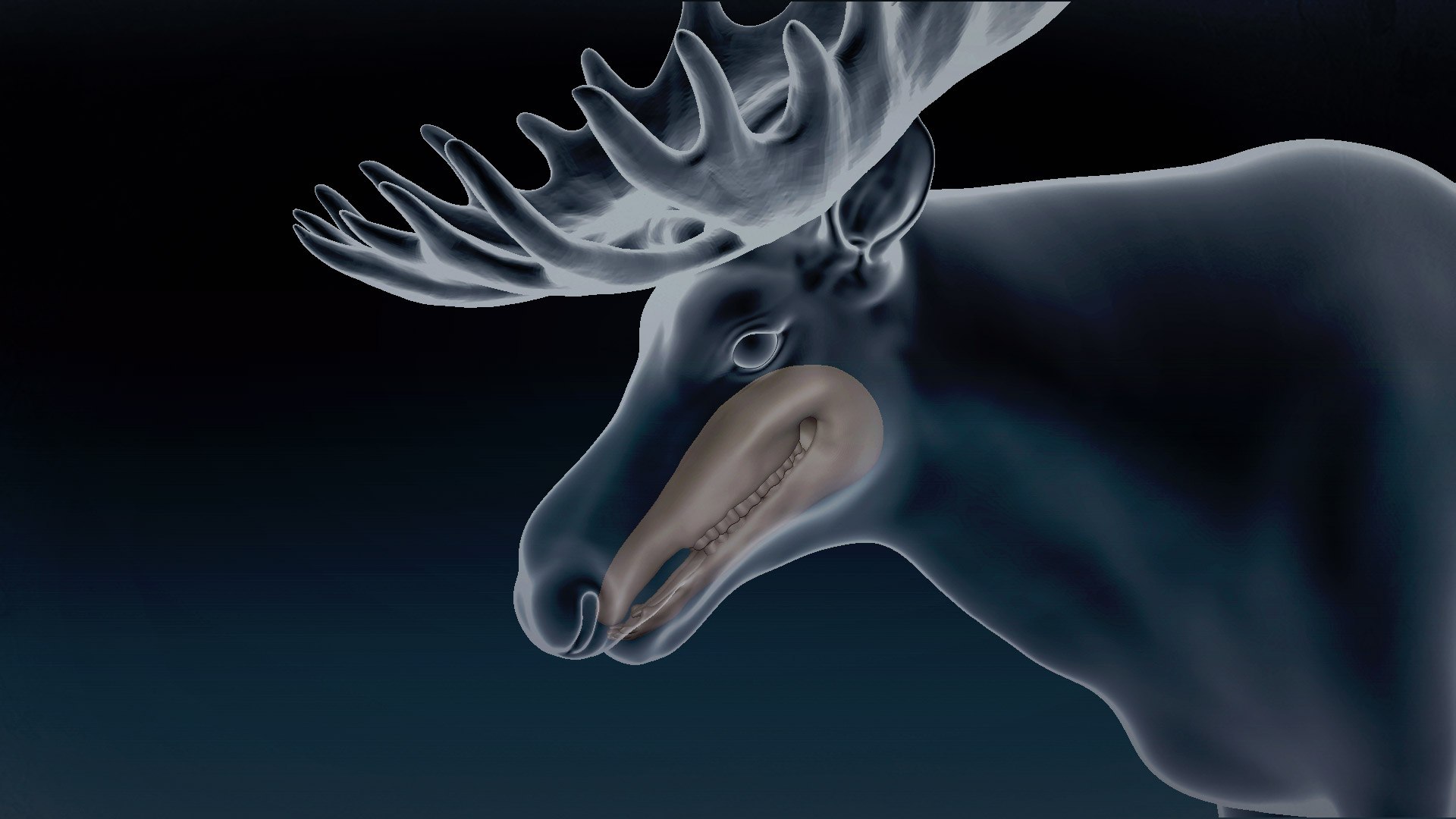 3D Moose Base Mesh 3D - TurboSquid 1823516