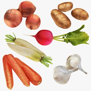 3D Root and Tuber Vegetables model