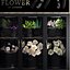 3D scene shop flower model
